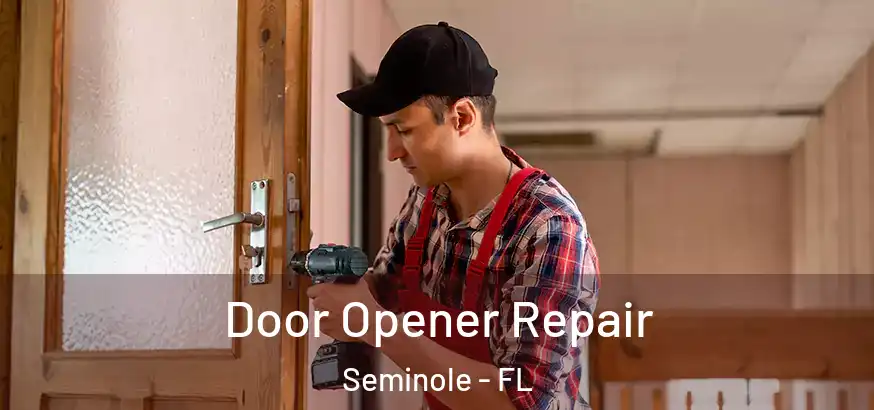 Door Opener Repair Seminole - FL