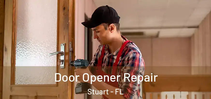  Door Opener Repair Stuart - FL