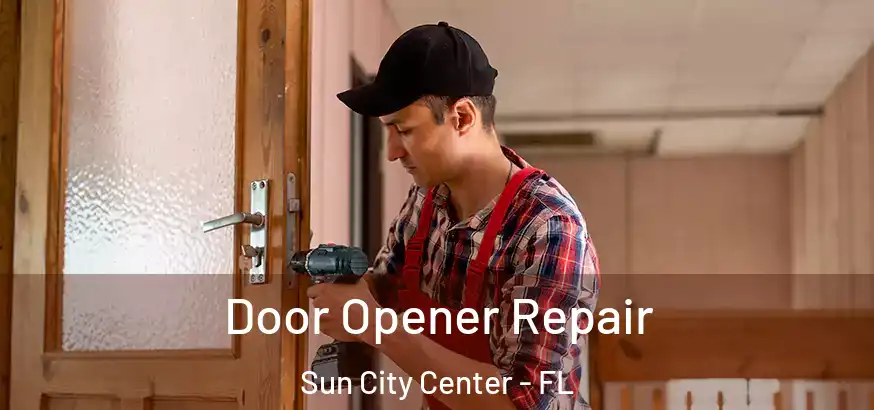  Door Opener Repair Sun City Center - FL