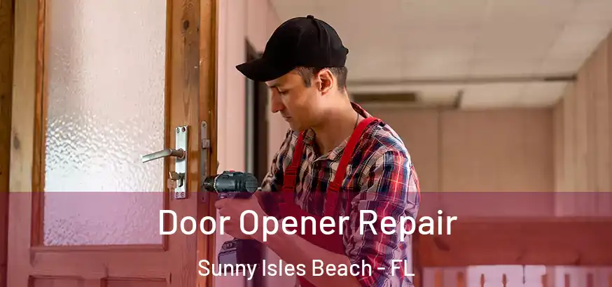  Door Opener Repair Sunny Isles Beach - FL