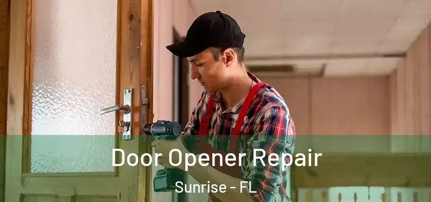  Door Opener Repair Sunrise - FL