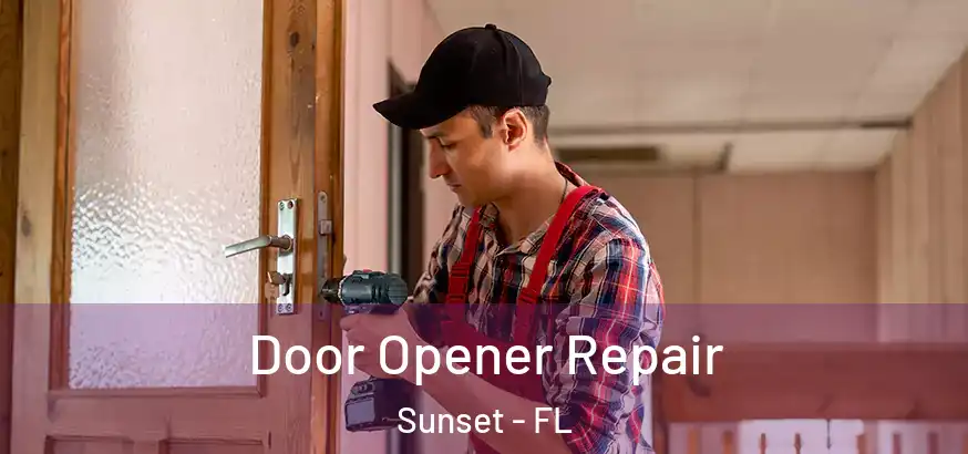  Door Opener Repair Sunset - FL