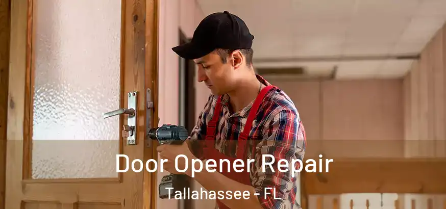 Door Opener Repair Tallahassee - FL