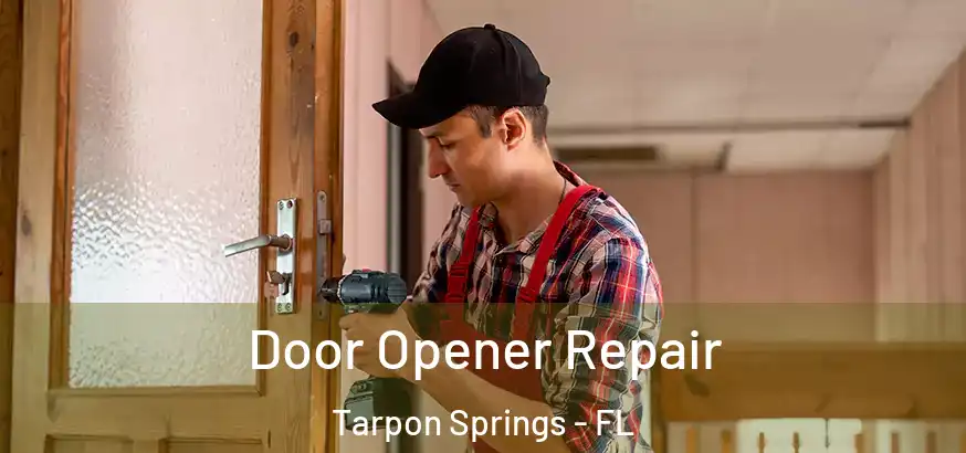  Door Opener Repair Tarpon Springs - FL