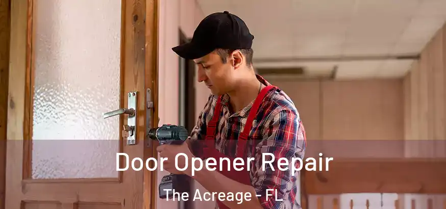  Door Opener Repair The Acreage - FL