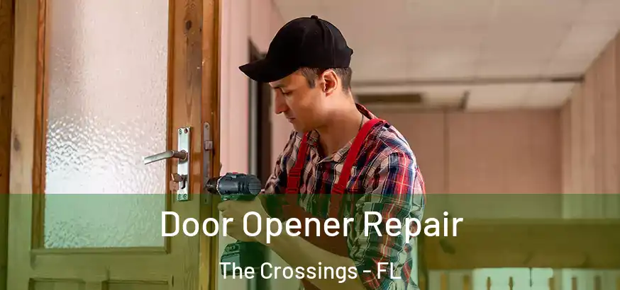  Door Opener Repair The Crossings - FL