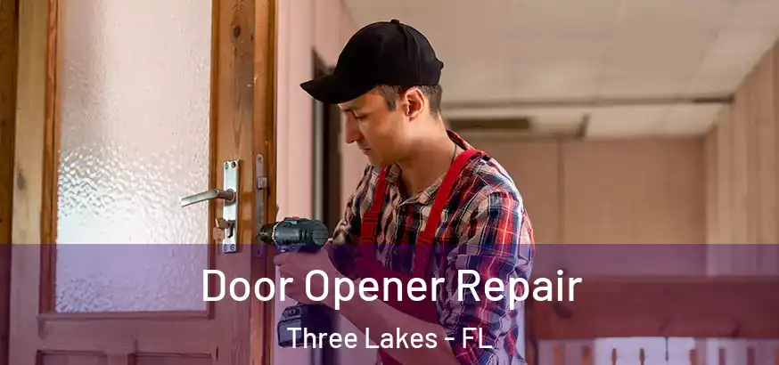 Door Opener Repair Three Lakes - FL