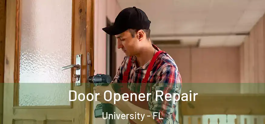  Door Opener Repair University - FL