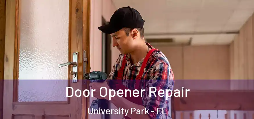  Door Opener Repair University Park - FL