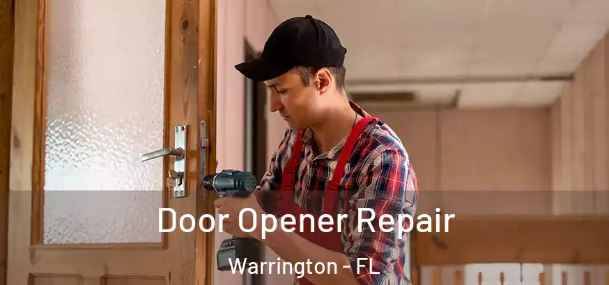 Door Opener Repair Warrington - FL
