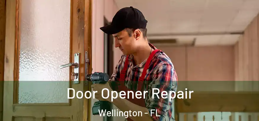  Door Opener Repair Wellington - FL