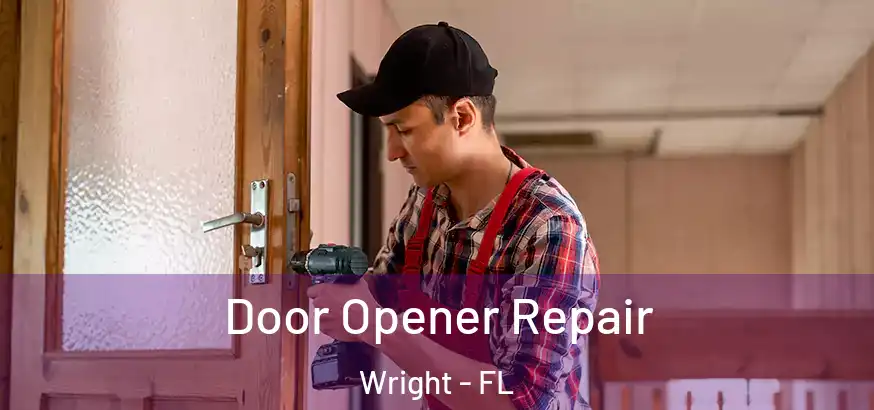 Door Opener Repair Wright - FL