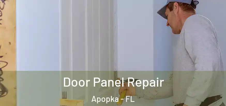  Door Panel Repair Apopka - FL