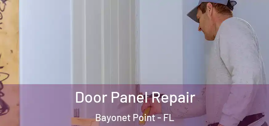 Door Panel Repair Bayonet Point - FL