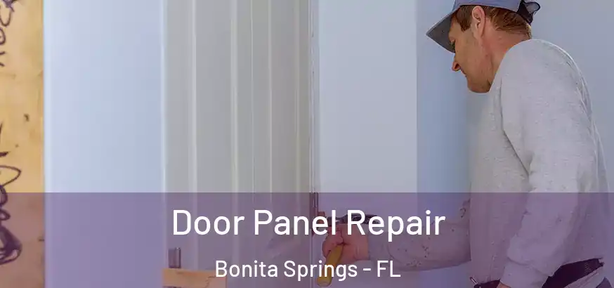 Door Panel Repair Bonita Springs - FL