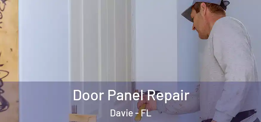  Door Panel Repair Davie - FL