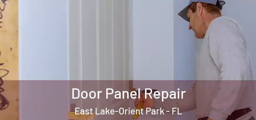  Door Panel Repair East Lake-Orient Park - FL