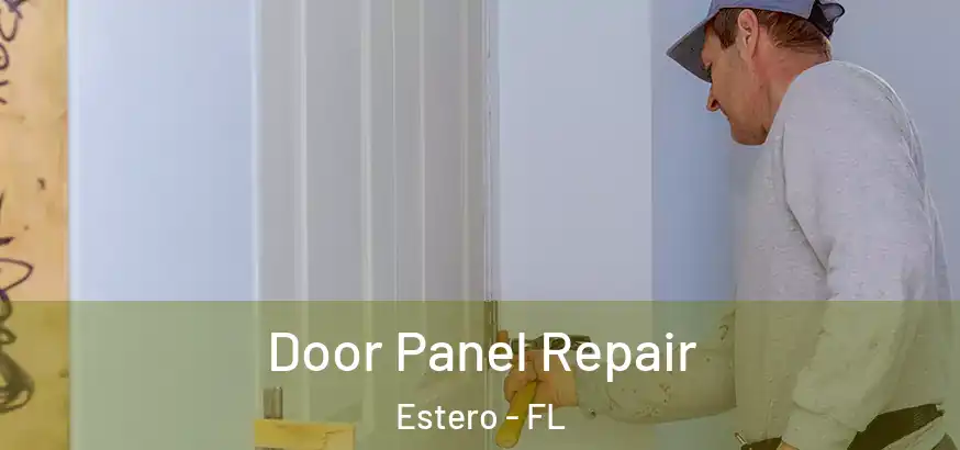  Door Panel Repair Estero - FL