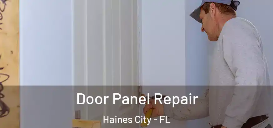  Door Panel Repair Haines City - FL