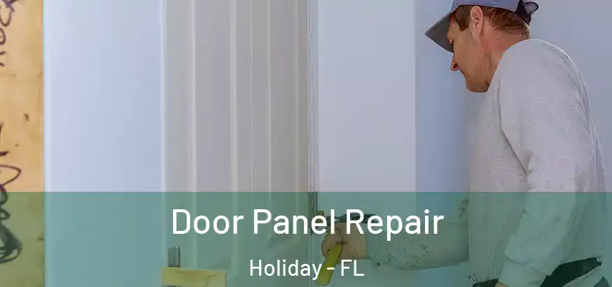  Door Panel Repair Holiday - FL