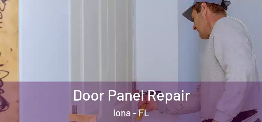  Door Panel Repair Iona - FL