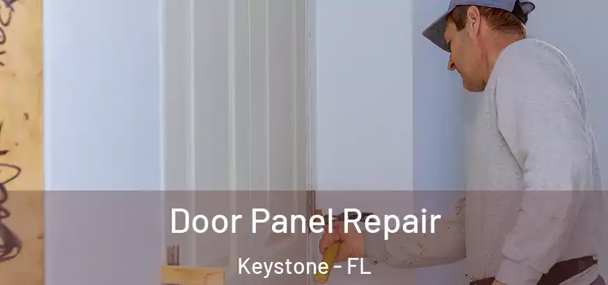  Door Panel Repair Keystone - FL