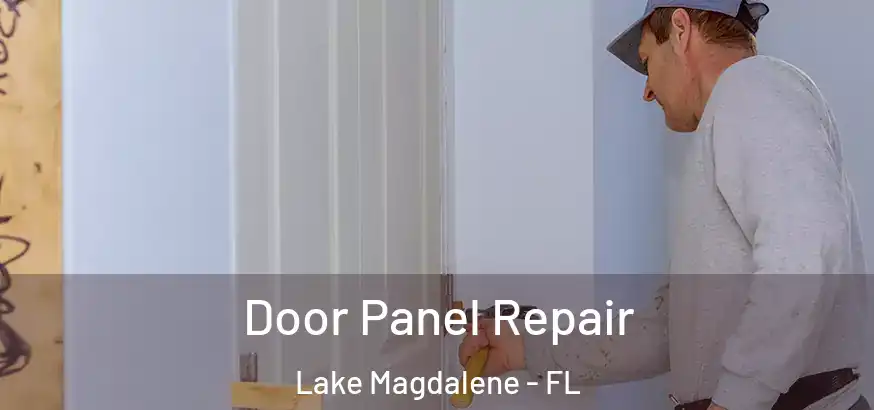  Door Panel Repair Lake Magdalene - FL