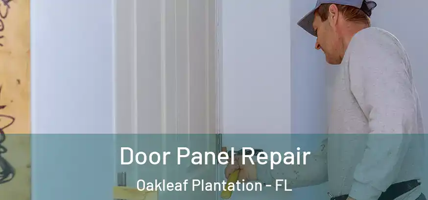  Door Panel Repair Oakleaf Plantation - FL