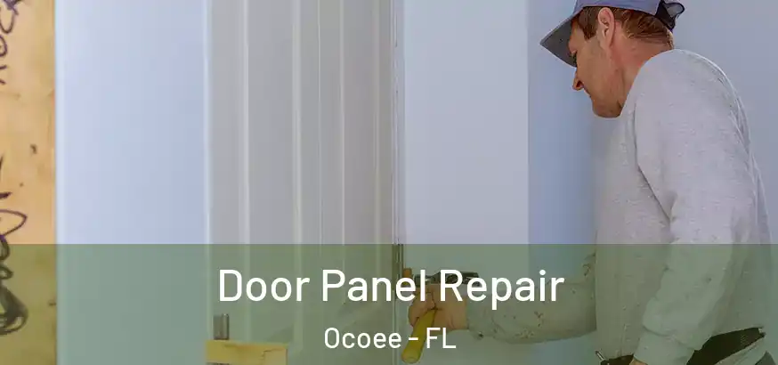  Door Panel Repair Ocoee - FL