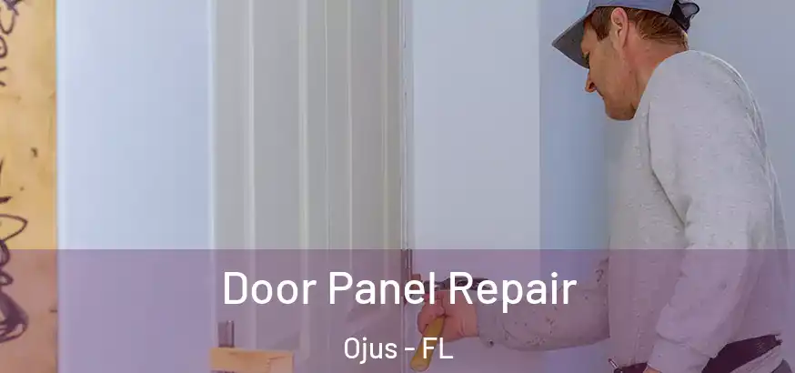  Door Panel Repair Ojus - FL