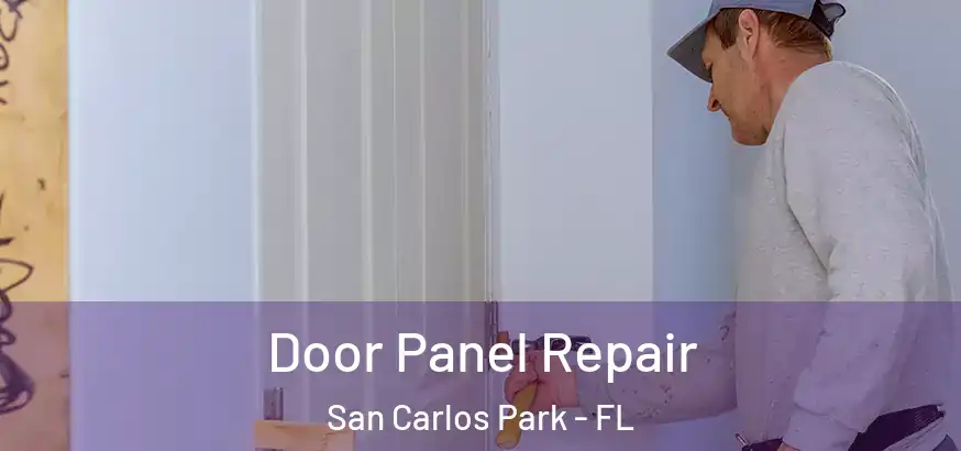  Door Panel Repair San Carlos Park - FL