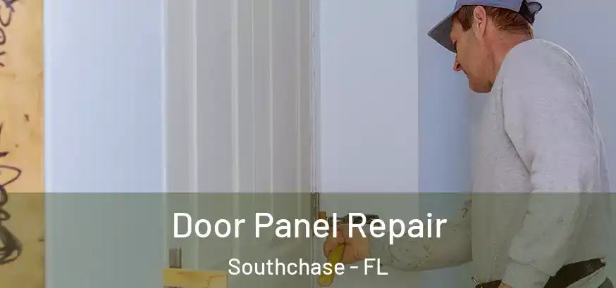  Door Panel Repair Southchase - FL
