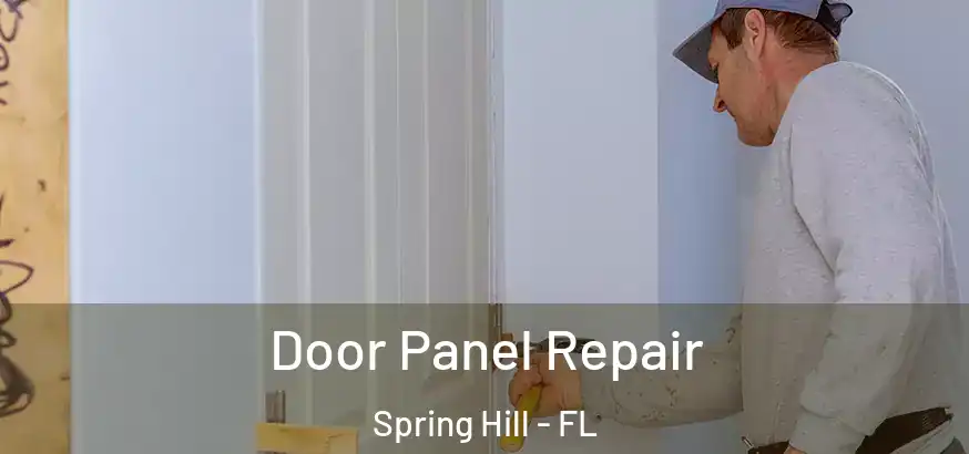  Door Panel Repair Spring Hill - FL