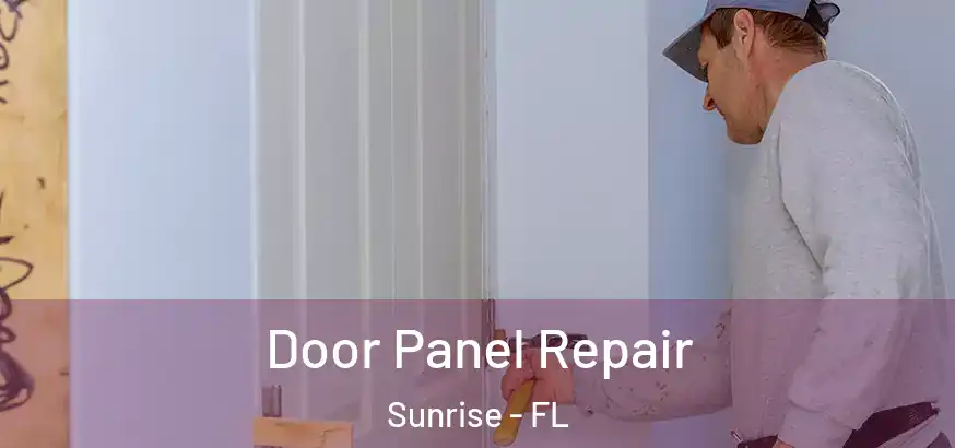 Door Panel Repair Sunrise - FL