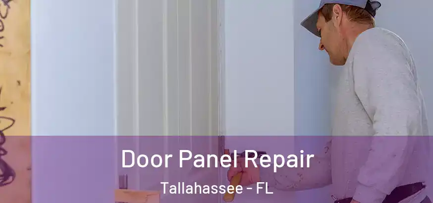  Door Panel Repair Tallahassee - FL