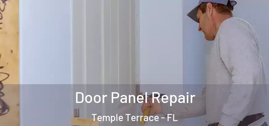  Door Panel Repair Temple Terrace - FL