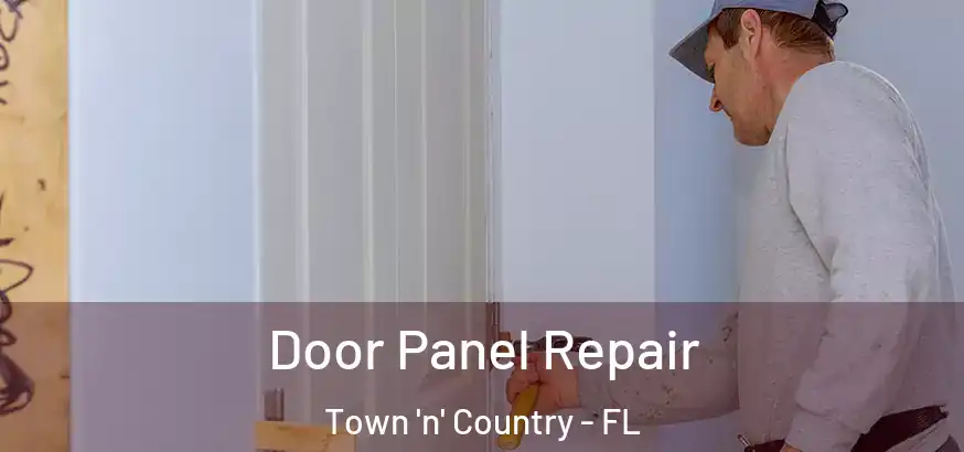  Door Panel Repair Town 'n' Country - FL
