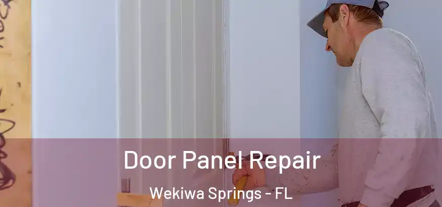  Door Panel Repair Wekiwa Springs - FL