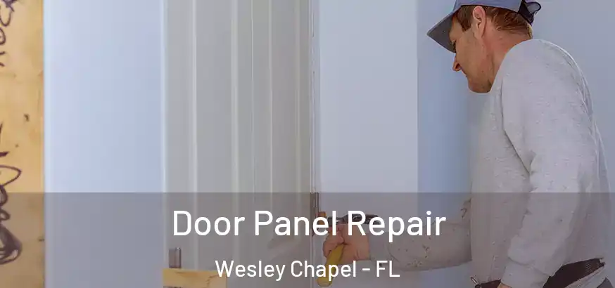 Door Panel Repair Wesley Chapel - FL