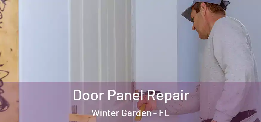 Door Panel Repair Winter Garden - FL