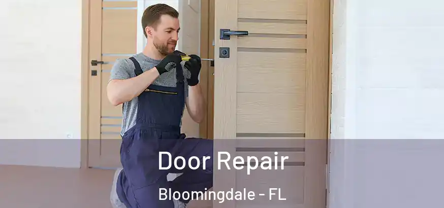 Door Repair Bloomingdale - FL