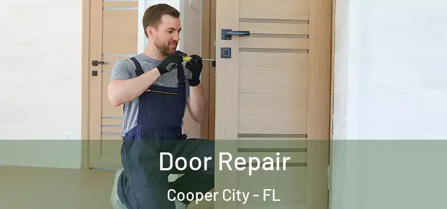  Door Repair Cooper City - FL