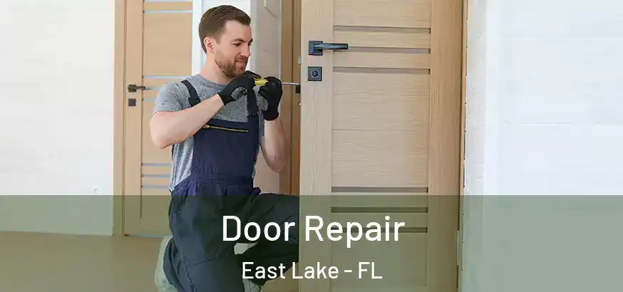  Door Repair East Lake - FL