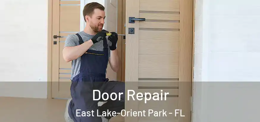  Door Repair East Lake-Orient Park - FL