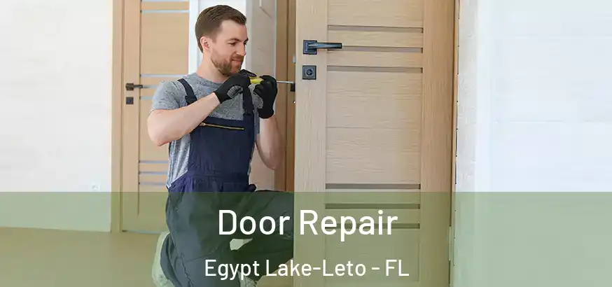  Door Repair Egypt Lake-Leto - FL