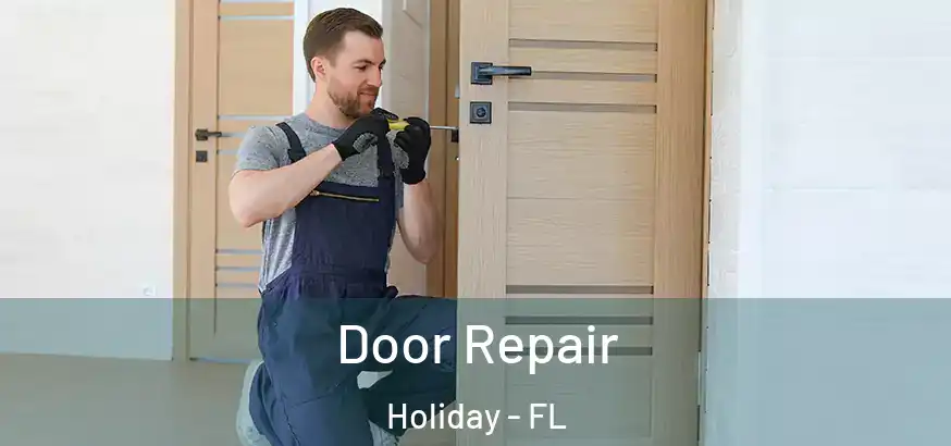  Door Repair Holiday - FL