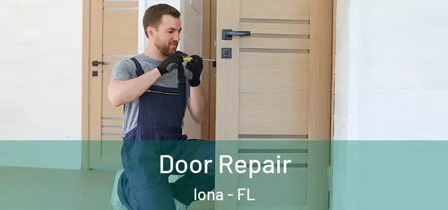  Door Repair Iona - FL