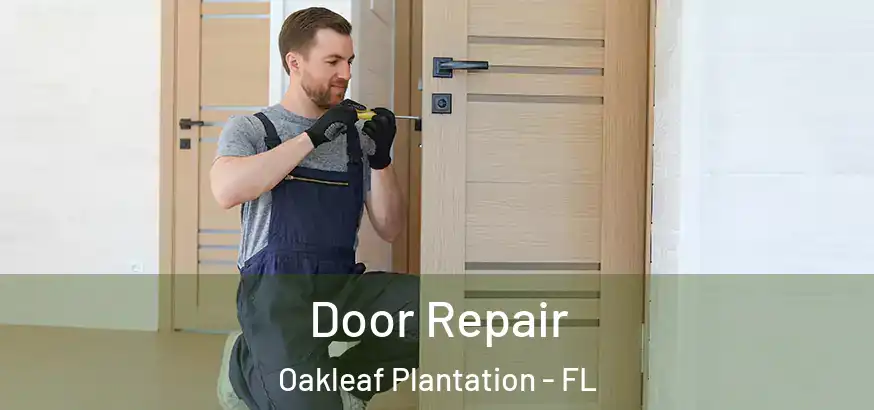  Door Repair Oakleaf Plantation - FL