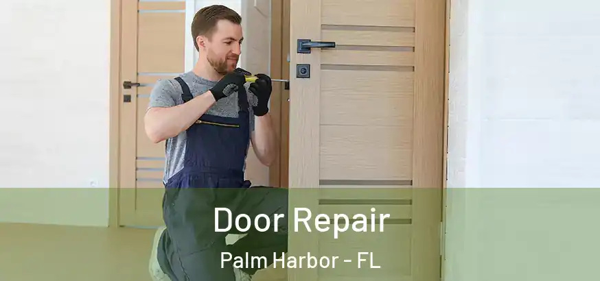  Door Repair Palm Harbor - FL