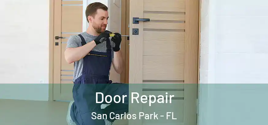  Door Repair San Carlos Park - FL